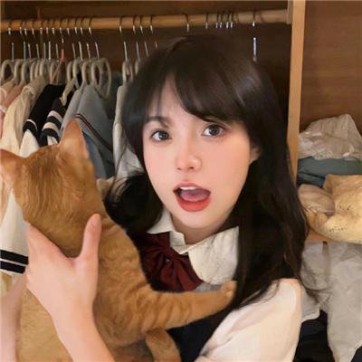 猪就是猪